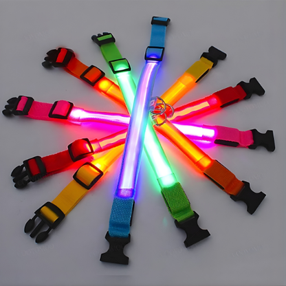 GlowPet™ LED Collar - Rechargeable