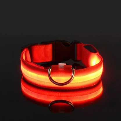 GlowPet™ LED Collar - Rechargeable