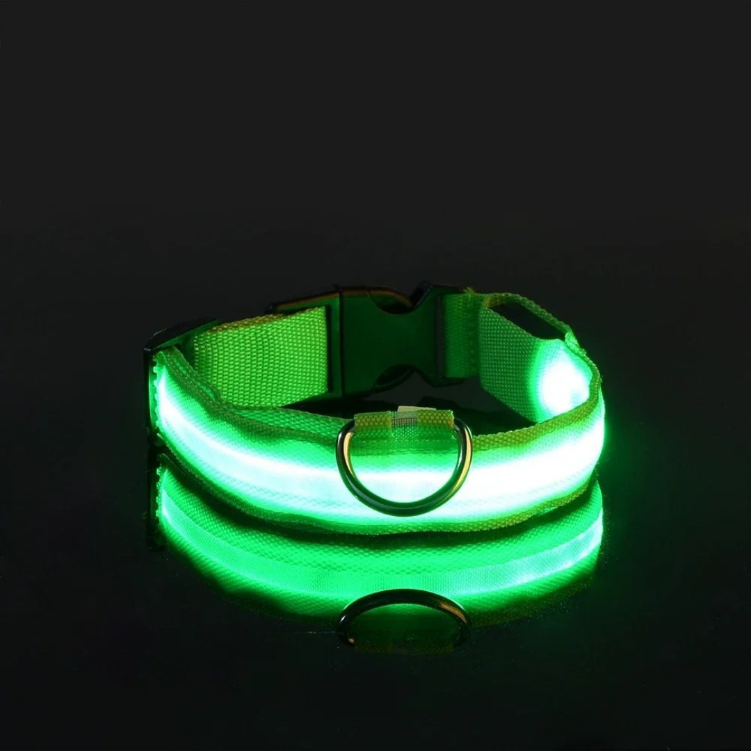 GlowPet™ LED Collar - Rechargeable
