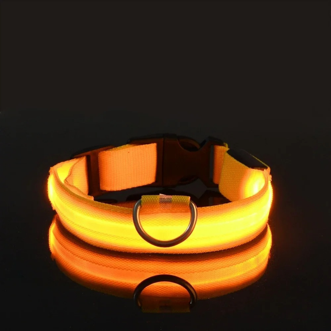 GlowPet™ LED Collar - Rechargeable